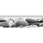Frise murale adhsive - ag design - wb 8215 - pvc - multicolore - 5 x 014 m