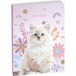 Agenda scolaire exacompta forum animaux chat blanc 2025 - 2026