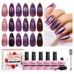 Aimeili 6 couleurs 10ml vernis semi permanent magntique avec bton holographique mtavers cat eye vernis ...