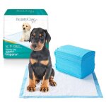 Alaise pour chien - beauty case 120 al�ses jetables - 60x60 - absorption rapide - confort optimal