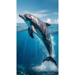 Alpes blanc - serviette de plage dauphin oc�anique - l�g�re et absorbante - 100% coton - 100x180 cm