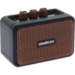 Ampli guitare + enceinte connect�e - woodbrass - ge5 - 5w - batterie 7h - clean / overdrive