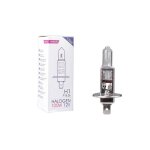 Ampoule halogene h1 p14. 5s 12v 100w (boite) x1 mtech