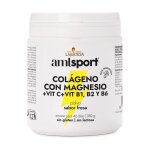Ana maria lajusticia� - collag�ne avec magn�sium et vitamine c + b1 b2 b6 amlsport 350 g de poudre (fraise) ...