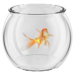 Aquarium de bureau bol  poissons transparent petit aquarium en verre vase  poissons bocal  poissons ...