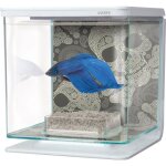 Aquarium marina betta kit 2l tte de mort