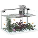 Aquarium - pawhut - avec lumires led pompe  filtre - en verre 20l - pour poissons rouges poissons combattant ...