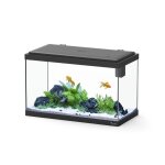 Aquarium poisson explorer vienna 42l noir avec bio filter et rampe led - aquatlantis