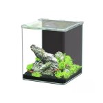 Aquarium poisson kubus curve 20l basic - aquatlantis