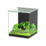 Aquarium poisson kubus curve 30l basic - aquatlantis