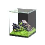 Aquarium poisson kubus curve 65l basic - aquatlantis