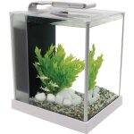 Aquarium spec fluval - fluval - 10 l - contemporain - fonctionnel - noir et blanc