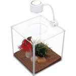 Aquarium en verre betta cubus - marina - 34 l - clairage led