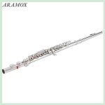 Aramox flte argente flte en argent flte professionnelle avec tui tige de nettoyage et instruments ...