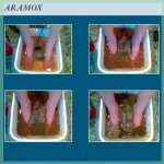Aramox r�pandise de d�sintoxication du bain � pied ionique d�tox du bain � pied ionique 10 baisses rondes ...