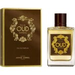 Arno sorel bois de oud imprial eau de parfum pour homme 100 ml