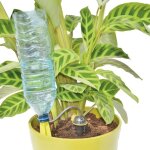 Arrosage goutte � goutte bouteille iriso