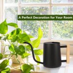 Arrosoir d�coratif pour plantes dint�rieur en acier inoxydable avec long bec verseur noir