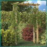 Ashata arche pour rosiers 150 x 60 x 204 cm bois imprgn - fhe41912