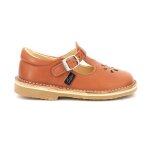 Aster saloms dingo - 2 rouge terracotta