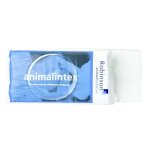 Audevard animalintex cataplasme 1 unit