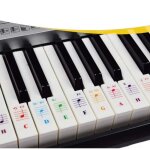 Autocollants transparents amovibles accessoires de clavier pour clavier de piano � 25 / 49 / 61 / 54 ...