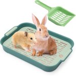 Bac � liti�re pour lapin bac � liti�re pour lapin petit animal lapin cochon dinde (petit vert)