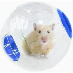 Balle dexercice pour hamster tuxedo jouet pour petits animaux roue de jogging pour course  pied sport ...