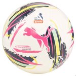 Ballon de championnat liga portugal puma orbita 2024 / 25