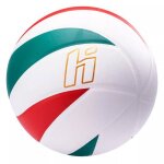 Ballon huari seagulls