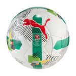 Ballon puma orbita 6 carabao cup 2025 / 26