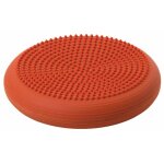 Ballon suisse - gym ball - swiss ball togu - 400294 - balle - coussin dyn - air(r) senso(r) 33 cm Ballon suisse - gym ball - swiss ball togu - 400294 - balle - coussin dyn - air(r) senso(r) 33 cm