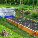 Bandes anti - piquants anti - chat anti - pine de chat rpulsif pour chat jardin extrieur chat chien ...
