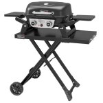 Barbecue gaz portable dont chariot d�tachable - royal gourmet - 2 br�leurs puissance 5 kw surface cuisson ...