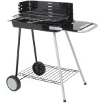 Barbecue milano - charbon de bois Barbecue milano - charbon de bois