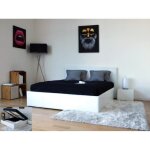 Barcelona lit coffre adulte 160x200 finition blanc