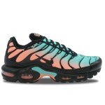 Nike air max plus tn south beach - dm0032 - 022 42