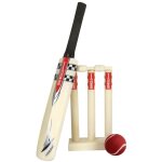 Batte de cricket gray - nicolls mini game