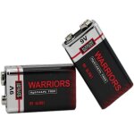 Batteria 9v batterie 9 volt pila pile 9v alcaline extra potenza extra lunga durata per rilevatori di ...