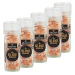 Bedros - lot 5x sel rose dhimalaya - moulin 110g