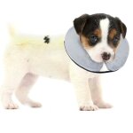 Collerette pour chiens et chats - bencmate - collerette gonflable de protection souple - taille s - gris ...