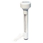 Bestway thermomtre flottant en abs