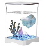 Betta fish tank ? table daquarium nano r�servoir combattant blanc avec filtre int�gr� petit kit d�marrage ...
