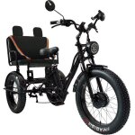 Bica tricycle �lectrique 3 roues fatbike cross 1 place pour personne � mobilit� r�duite 750 watts