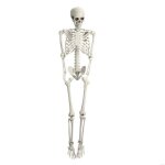 Biplut d�cos et animations - squelette articul� 165 cm halloween squelette halloween plastique decoration ...