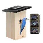 Mangeoire connect�e - birdfy ebony lite - cam�ra hd 1080p - panneau solaire - ia didentification doiseaux ...