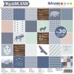 Bloc de 60 feuilles de papier scrapbooking 30x30 cm woodland dartemio