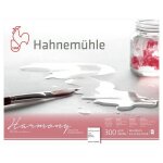 Bloc - aquarelle - 40x50cm - 300g - 12 feuilles - grain fin - hahnem�hle - harmony