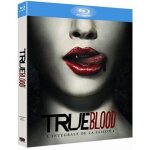Blu - ray true blood saison 1