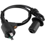 Bobine dallumage  2 fils pour moteur gy6 50cc 125cc 150cc moto dirt bike scooter